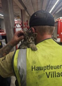 Katze aus Motorraum gerettet